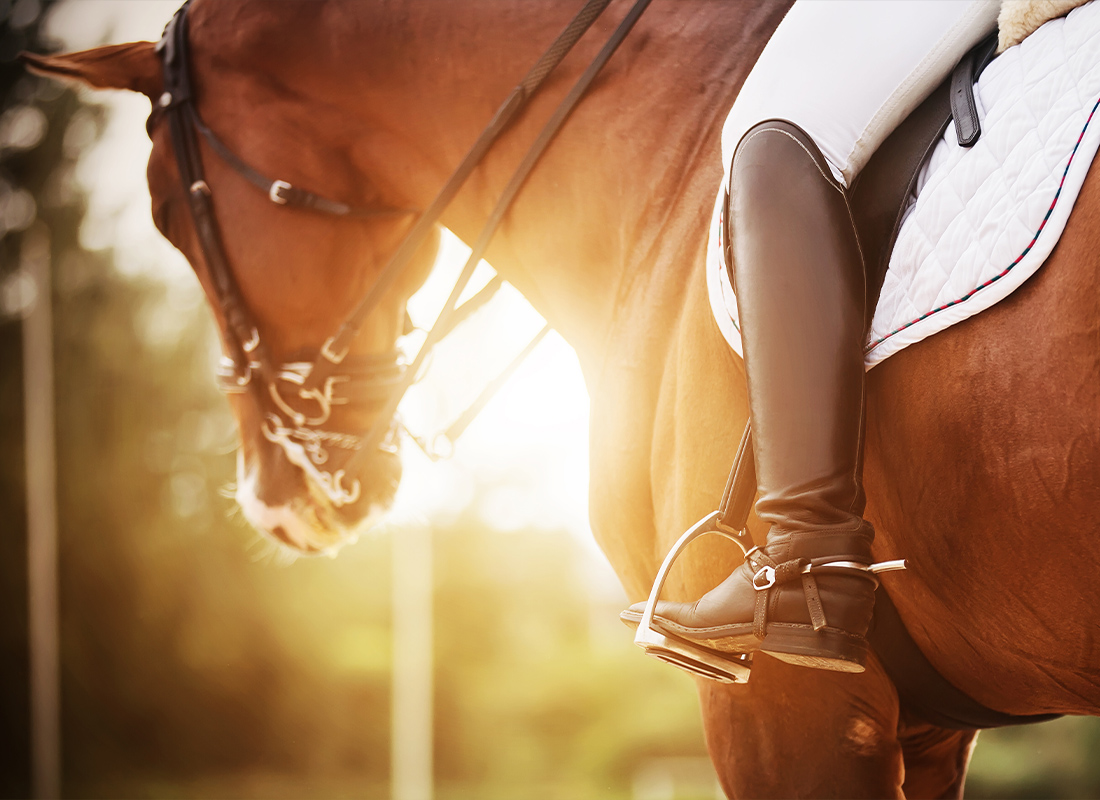 Equine Insurance - Beautiful Shot of a Rider Sitting on a Horse With a Sunset in the Background