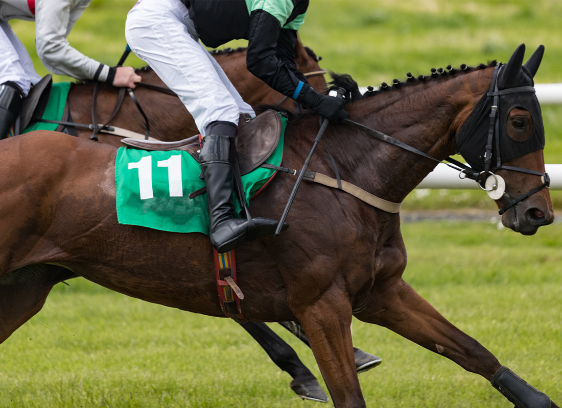 Track Accident Insurance - Riders Riding on Horses on the Track