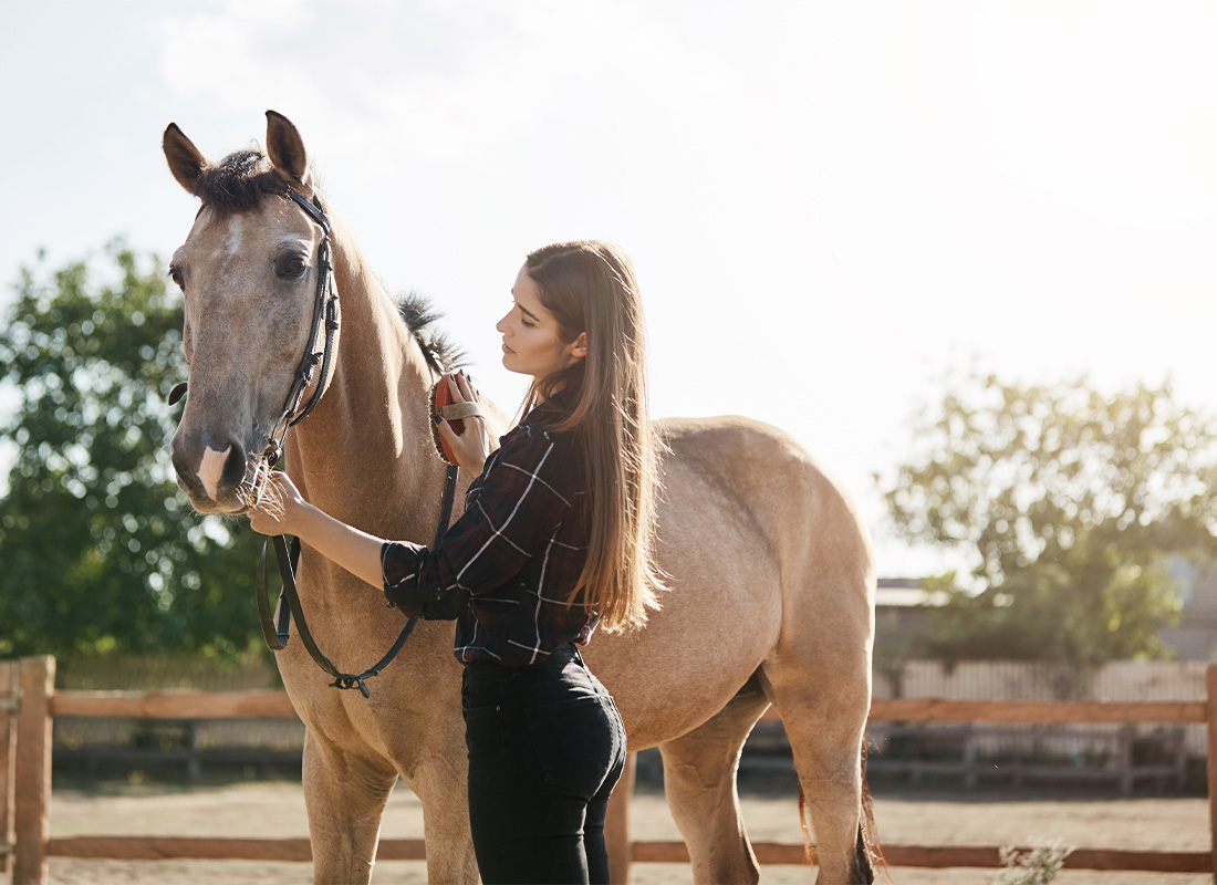 Workers Compensation for Equine - Young Woman Taking Care of a Brown House on the Farm